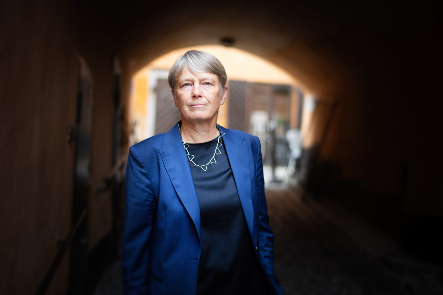 Bild på Medlingsinstitutets generaldirektör Irene Wennemo