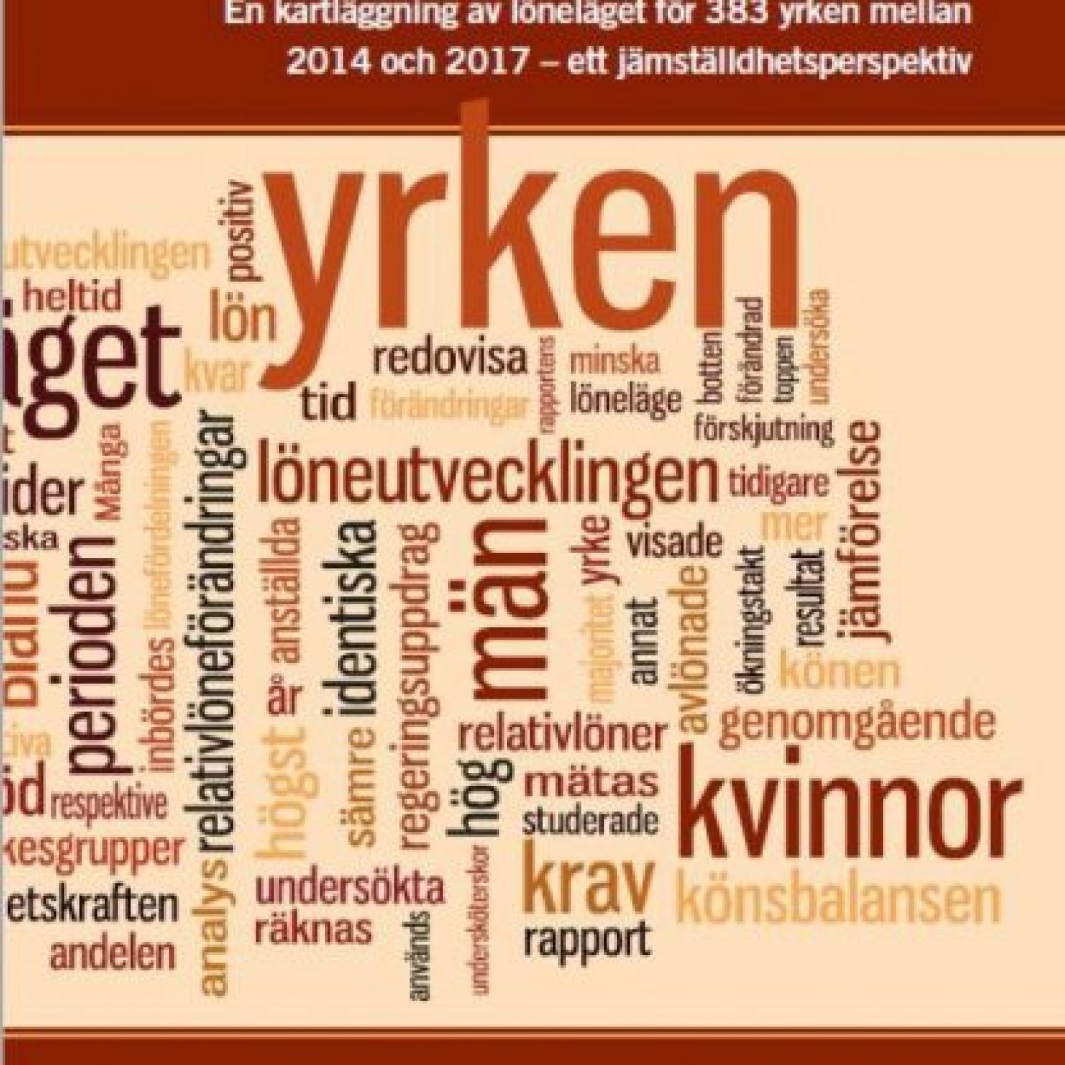Bild på omslaget på "Yrke lön och kön".