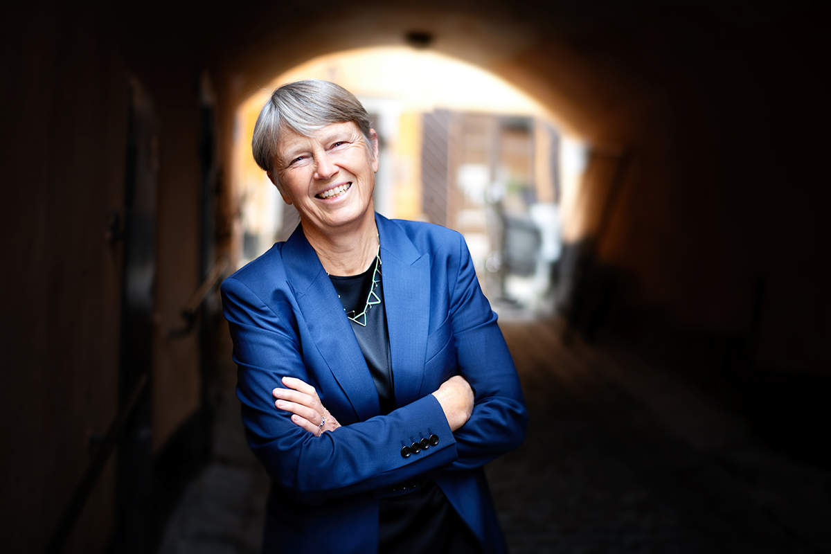 Irene Wennemo, Generaldirektör Medlingsinstitutet